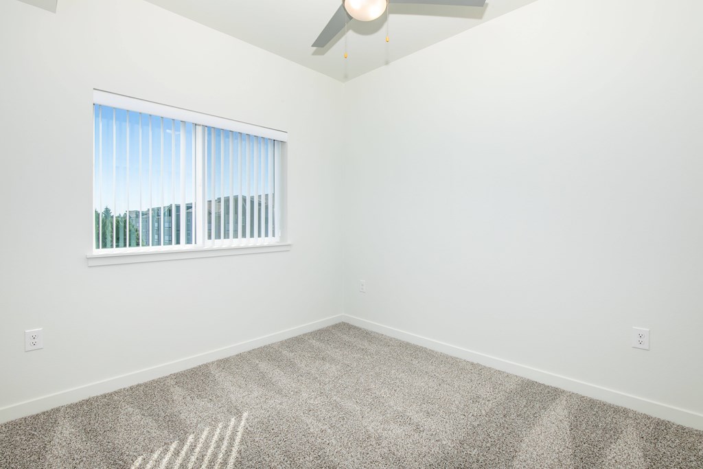 A room with a carpeted floor and a window with blinds.