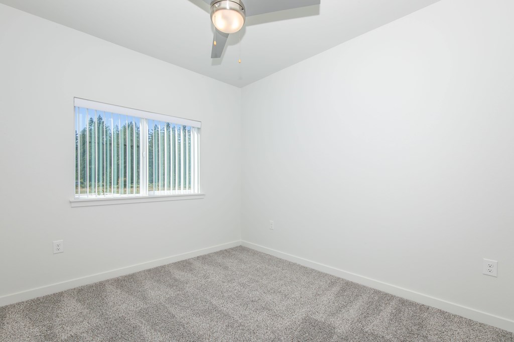 A room with a carpeted floor and a ceiling fan.