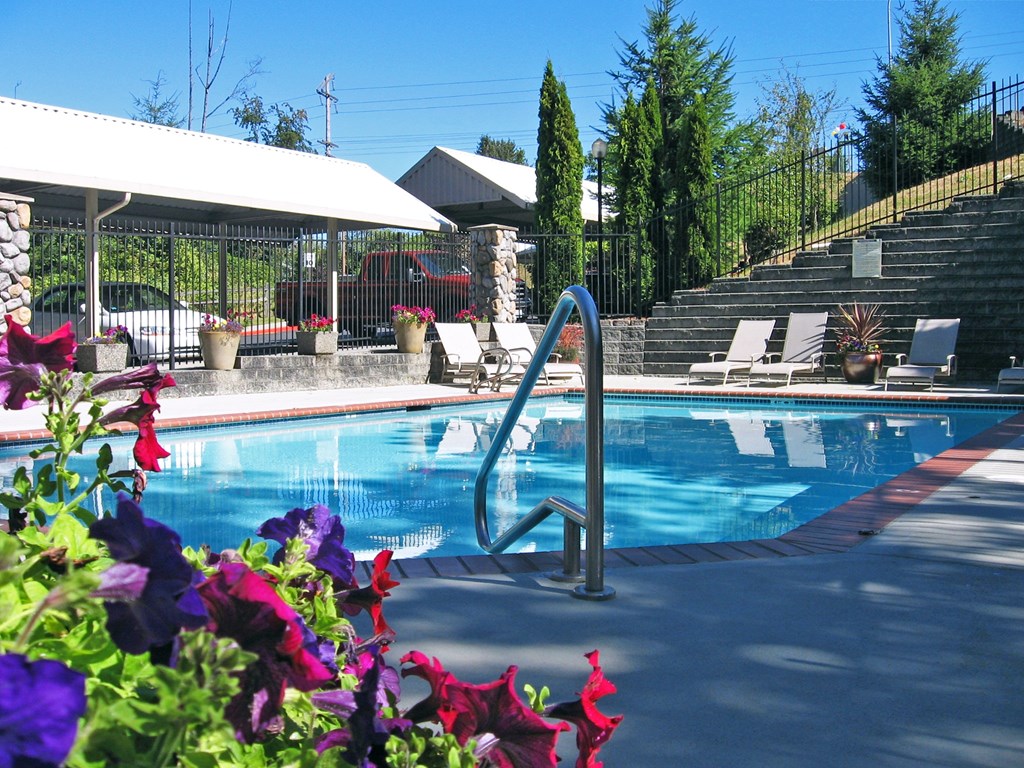 A pool surrounded by flowers and a metal fence.
