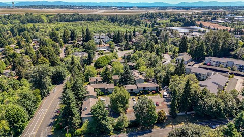 A road runs through a green residential area.