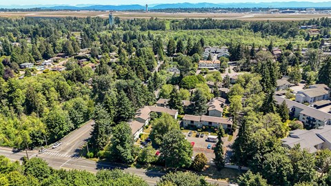 A bird's eye view of a residential area surrounded by trees.