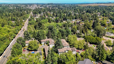 A bird's eye view of a residential area with houses surrounded by trees.