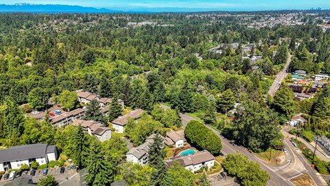 A bird's eye view of a residential area with houses and trees.