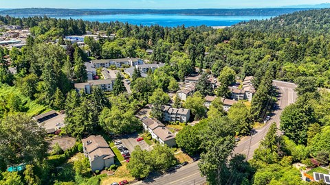 A bird's eye view of a residential area with houses surrounded by trees.