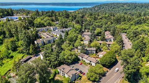 A bird's eye view of a residential area with houses surrounded by trees.