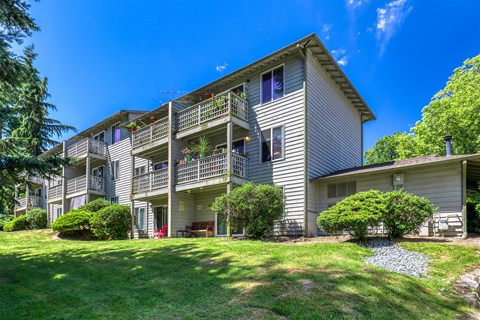 A sunny day at the apartment complex with green grass and trees.