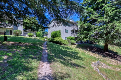 A house with a green lawn and trees in front of it.