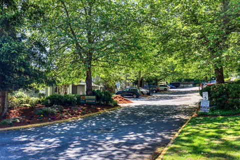 A tree-lined street with a sign on the right side.