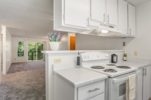 A white kitchen with a stove and a potted plant.