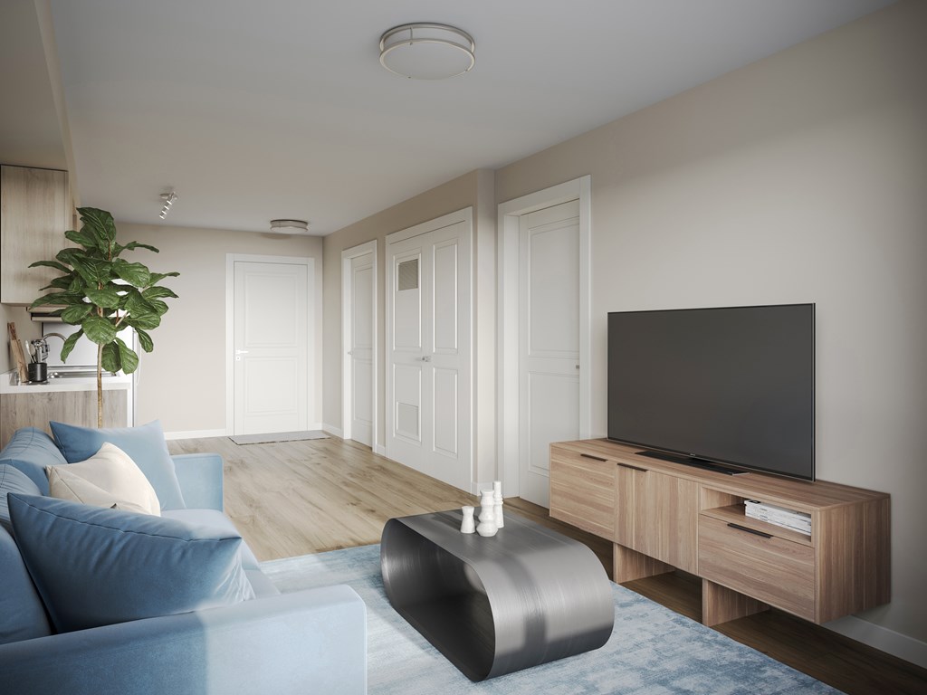 A modern living room with a blue sofa and a television on a wooden stand.