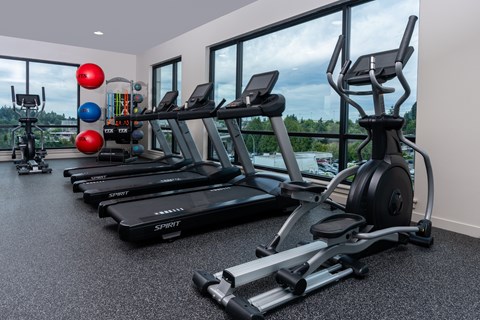 A gym with treadmills, exercise balls, and weights.