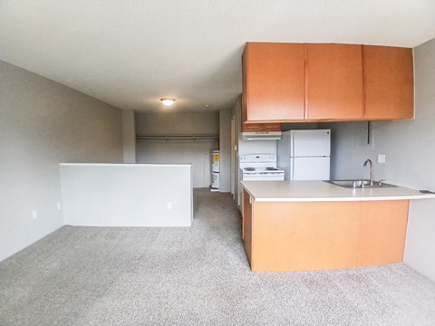 A kitchen with a sink and a counter.