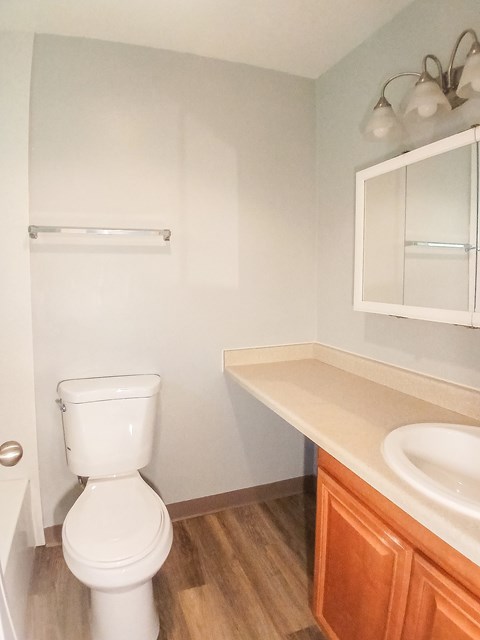 A white toilet sits in a bathroom next to a sink.