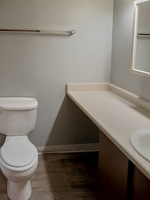 A white toilet sits next to a sink in a small bathroom.