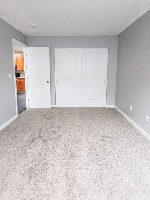A room with two white doors and carpeted floor.