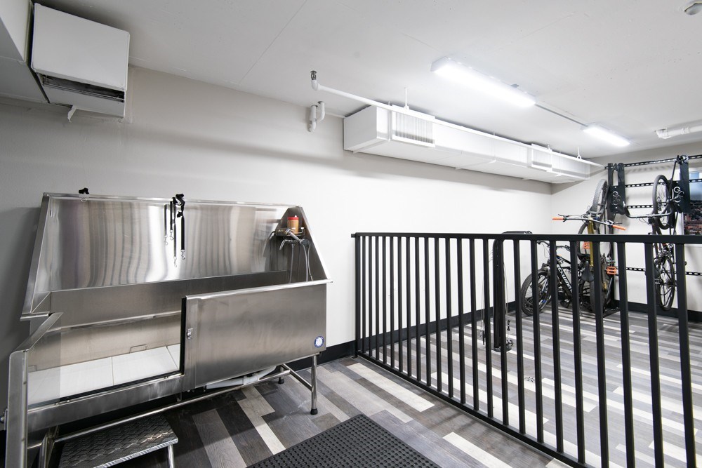 dog wash and bike storage