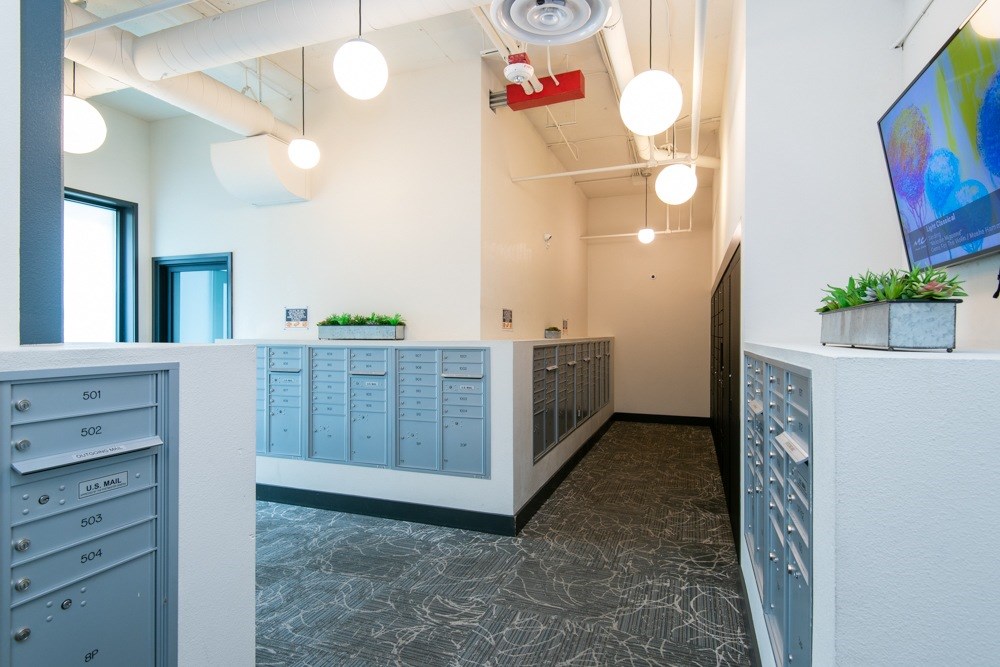 A hallway with a row of filing cabinets on the left and a row of plants on the right.