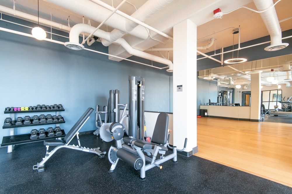 A gym with a variety of equipment including weights and a bench press.