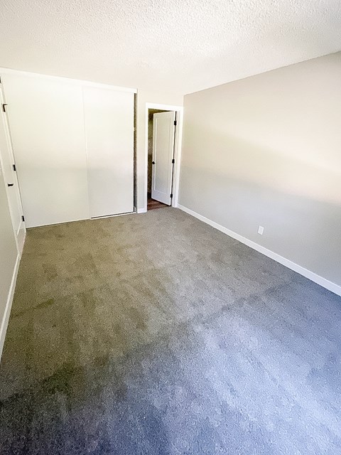 A room with a carpeted floor and two white doors.