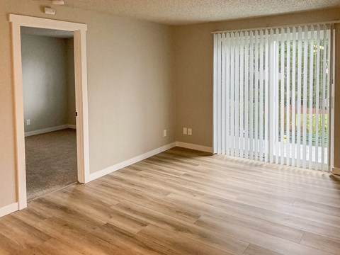A room with a wooden floor and a sliding glass door.