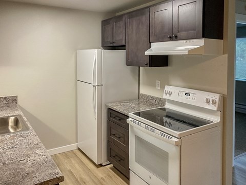 A kitchen with a white fridge and stove.