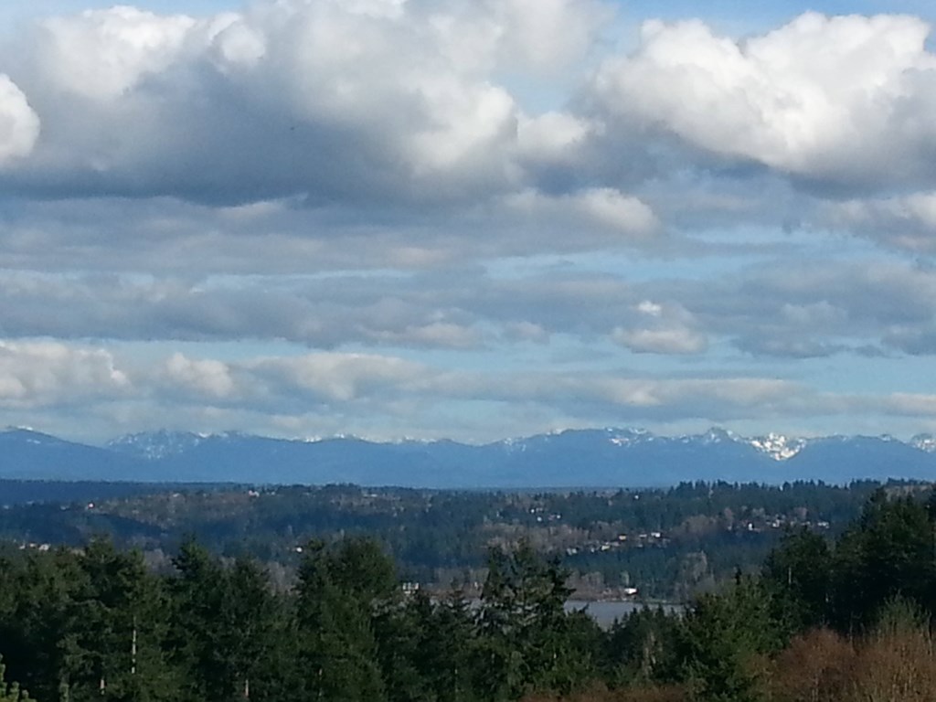 A landscape with trees and mountains in the distance under a cloudy sky.