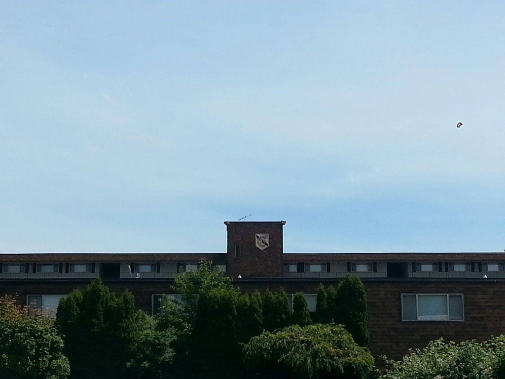 A building with a chimney and trees in front of it.