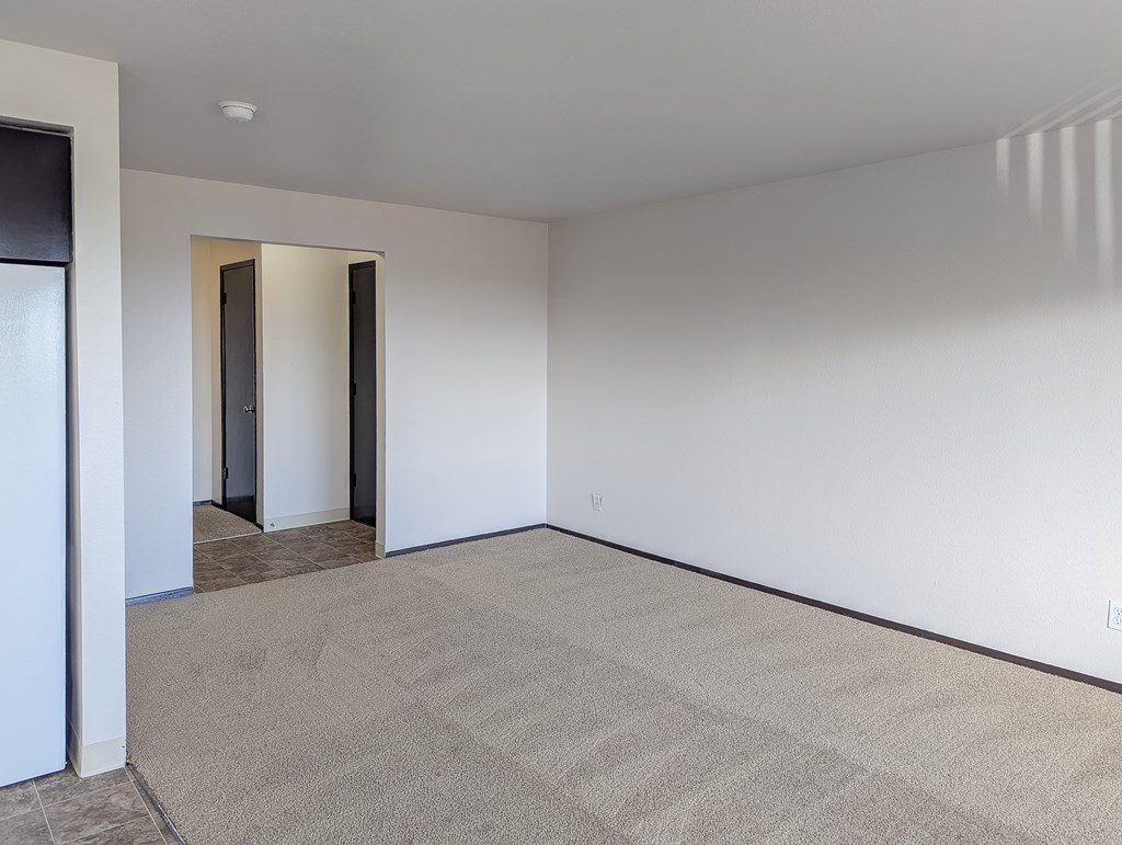A room with a carpeted floor and a white wall.