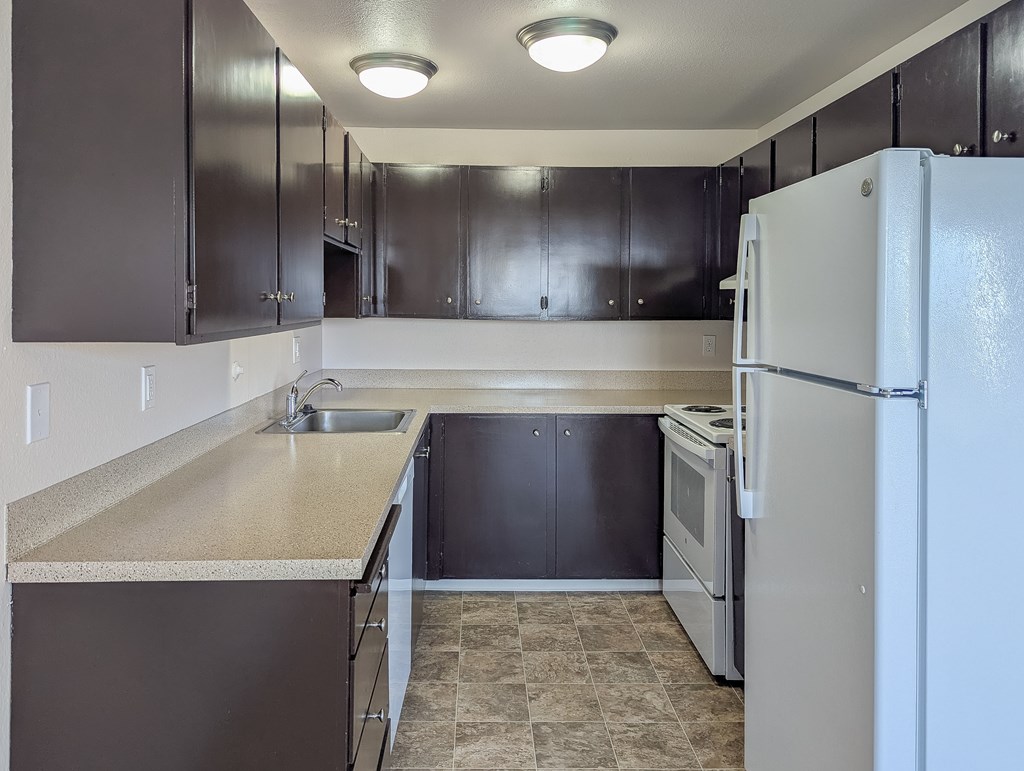 A kitchen with a white refrigerator, black cabinets, and a sink.