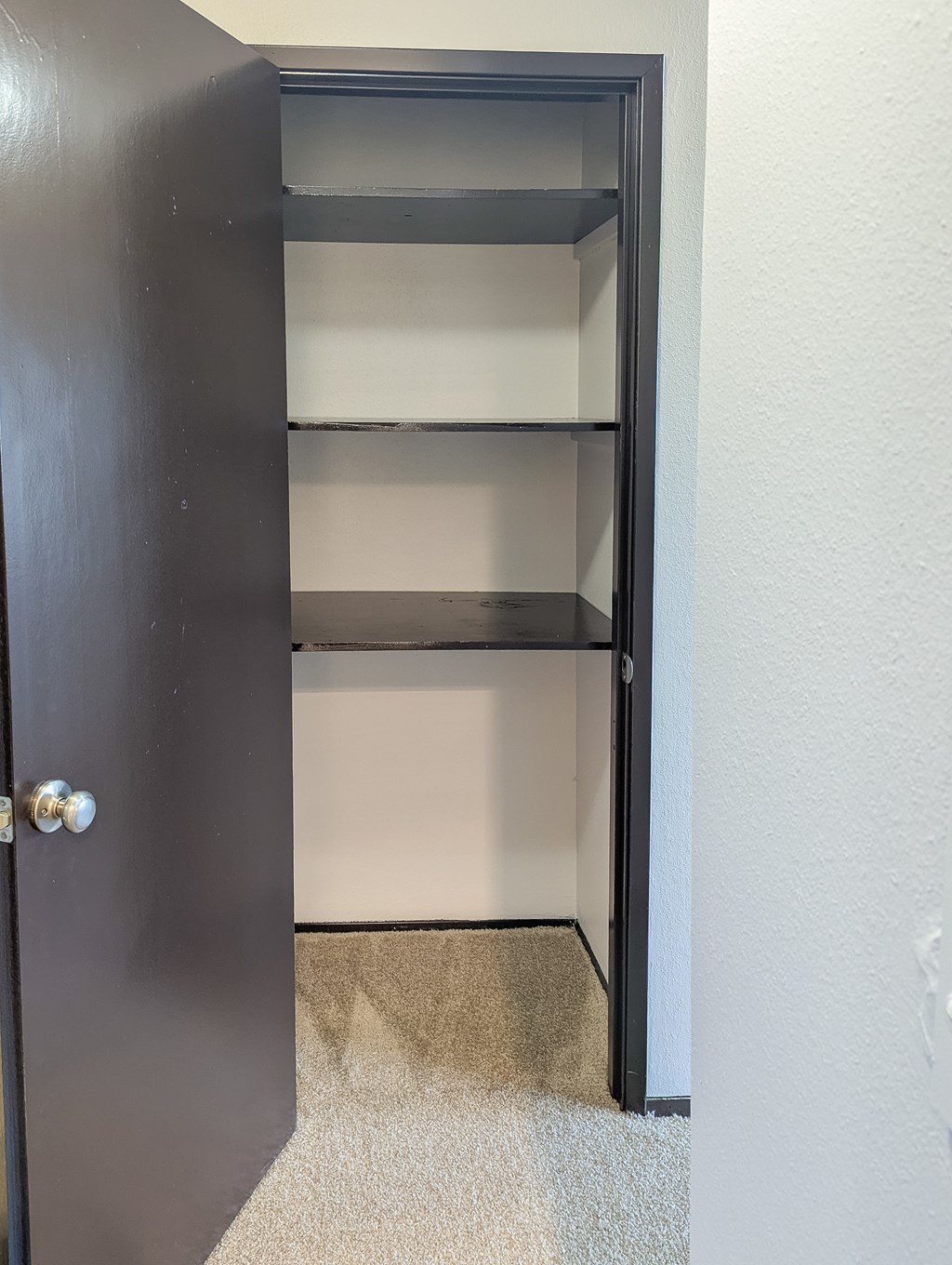 A black door with a silver handle is open to a white wall.