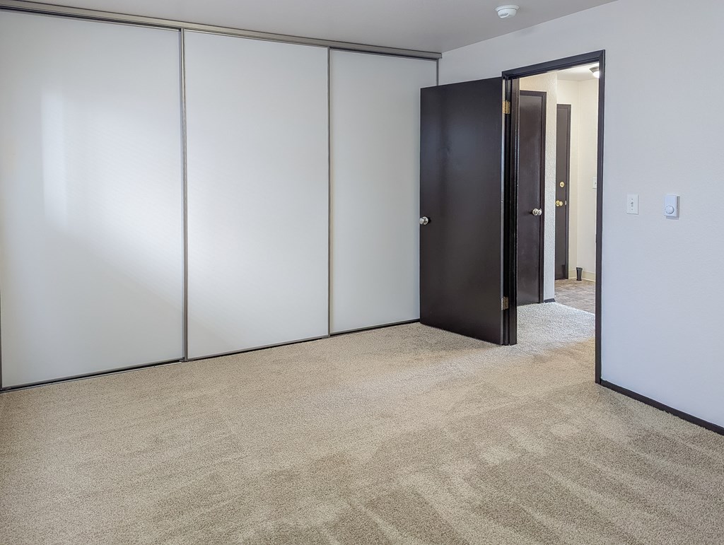 A room with a carpeted floor, a black door, and a white wall.