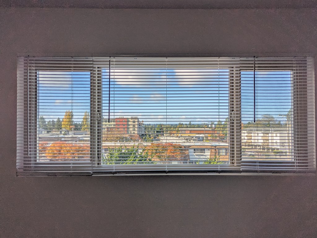 A window with blinds overlooking a cityscape.