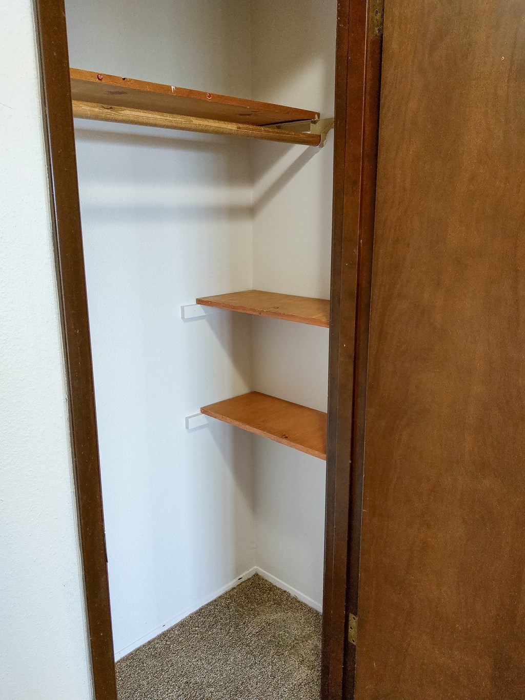 A white closet with a wooden door and shelves.
