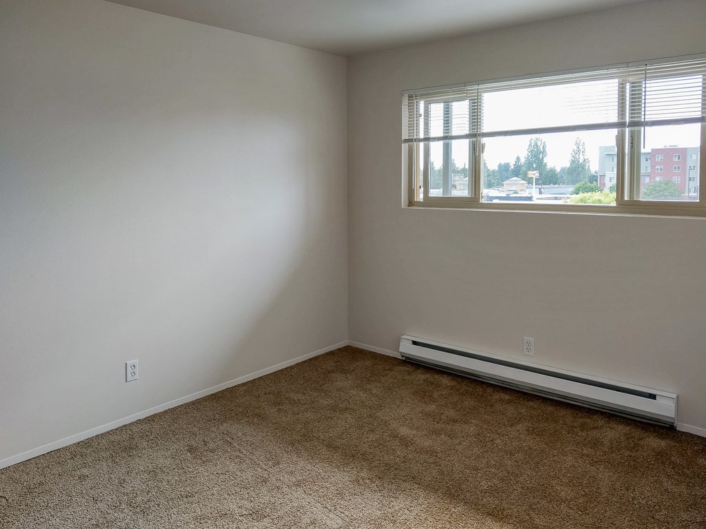 A room with a window and a carpeted floor.