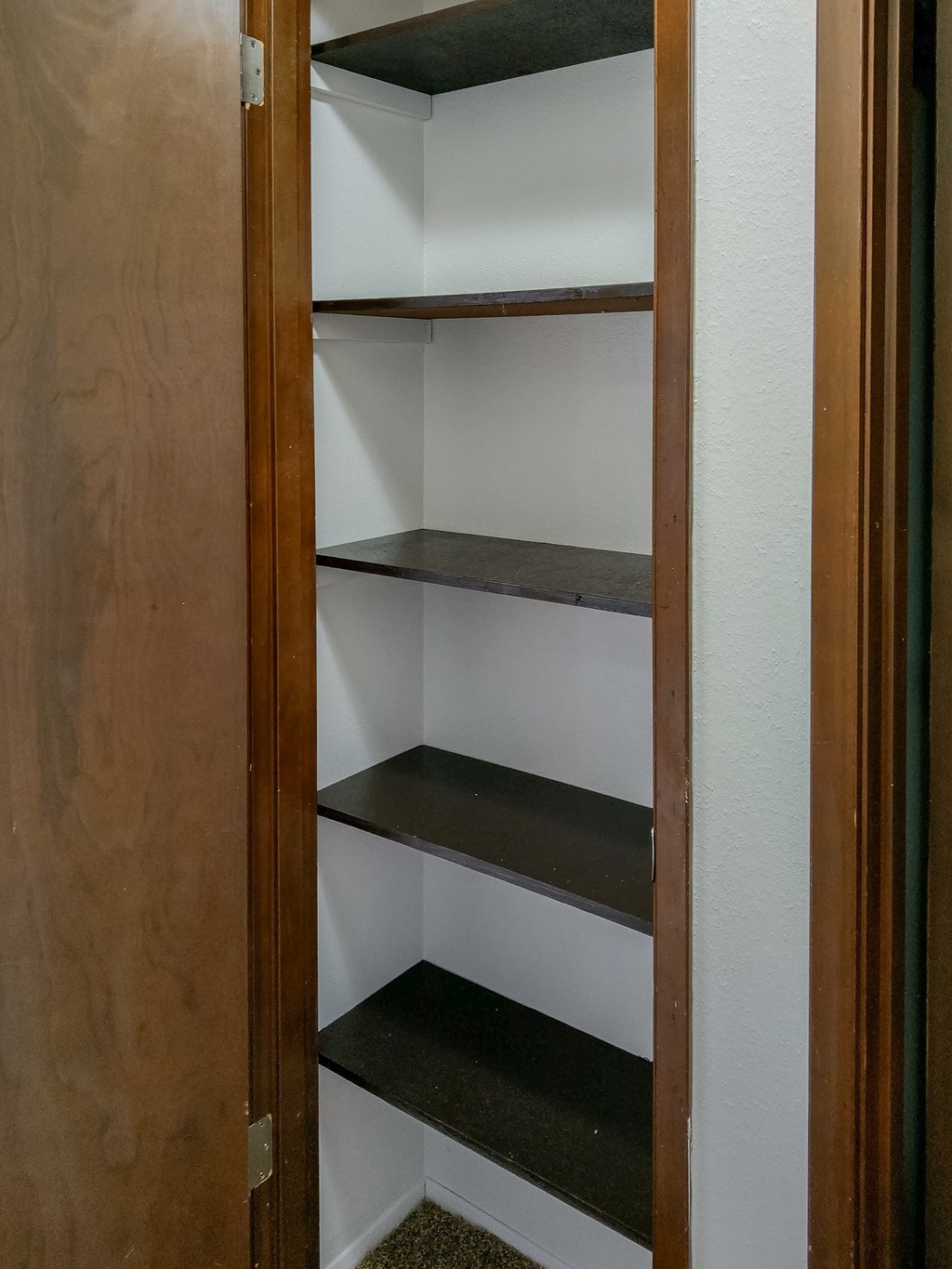 A pantry with a door open showing shelves.