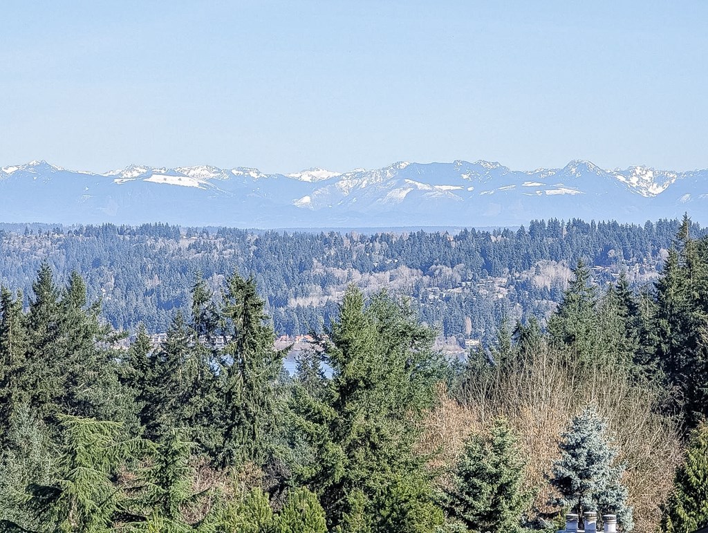 A forest of trees with snow covered mountains in the background.