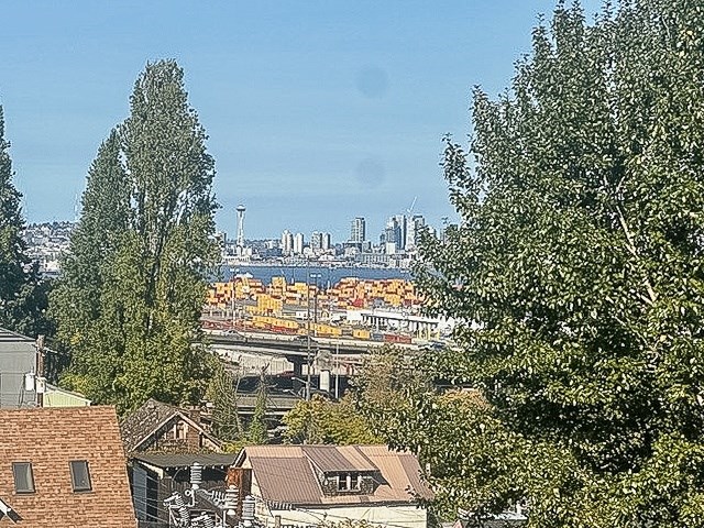 A cityscape with buildings and a bridge in the distance, framed by trees.