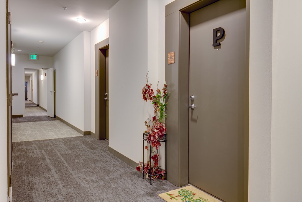 A hallway with a brown door and a plant on the floor.