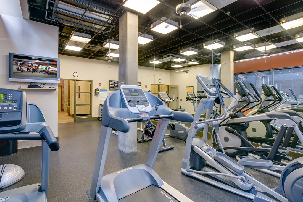 A gym with treadmills and exercise bikes.