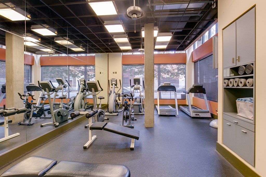 A gym with a variety of equipment including treadmills, stationary bikes, and weight machines.