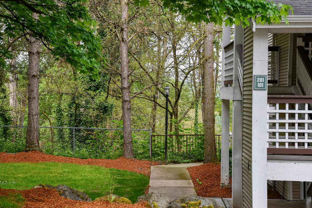 A green tree in front of a house.
