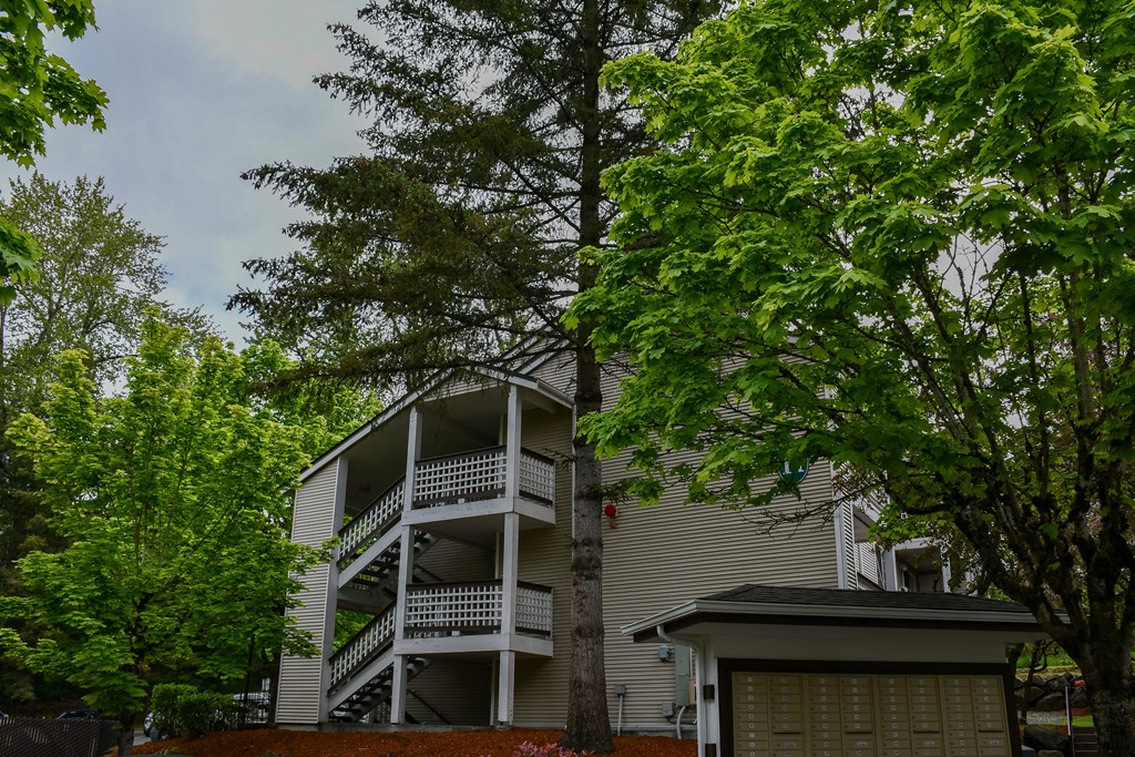 A tree is in front of a two-story building.