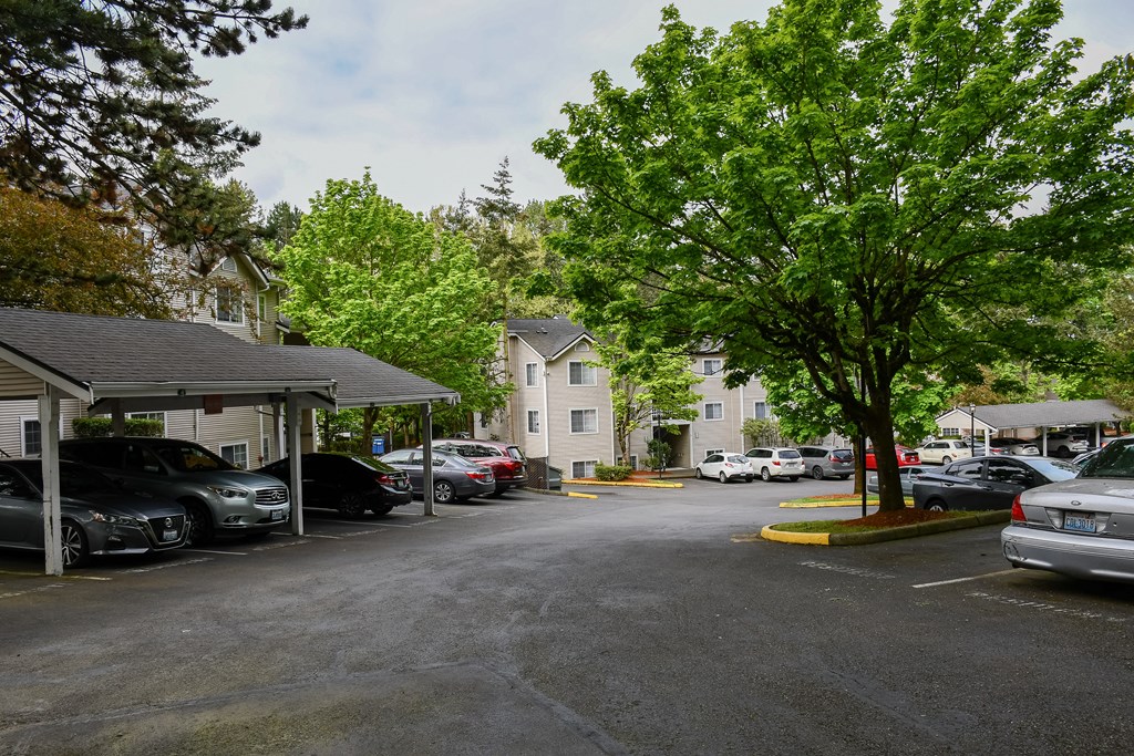 A parking lot with cars and trees.