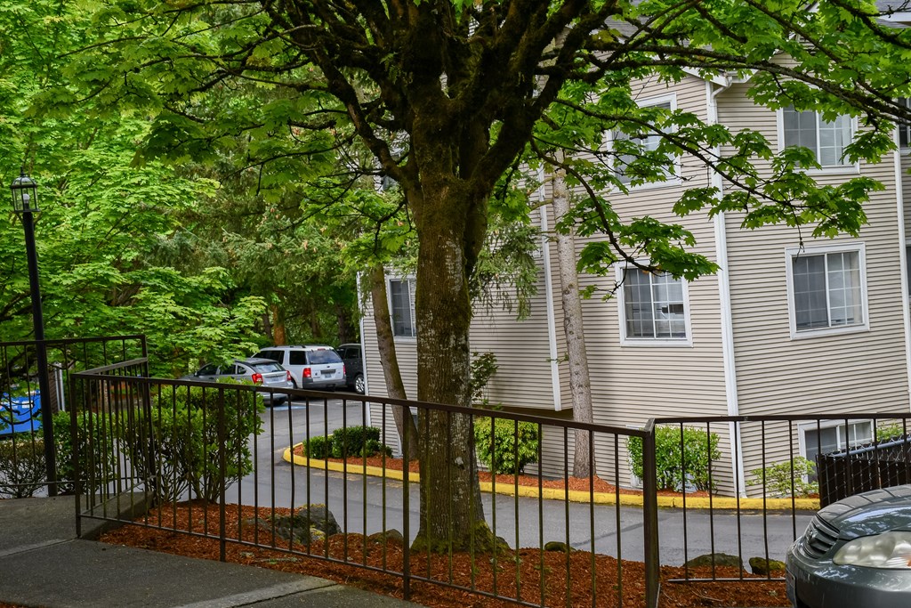 A tree in front of a building with a car parked in the driveway.