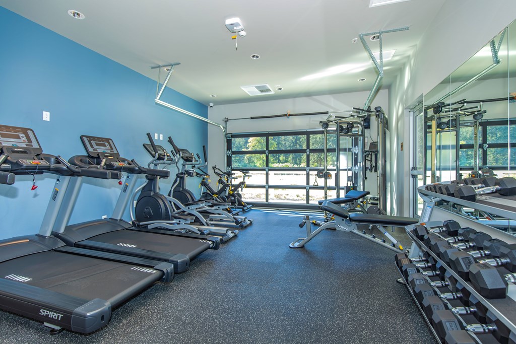 A gym with treadmills and elliptical machines.