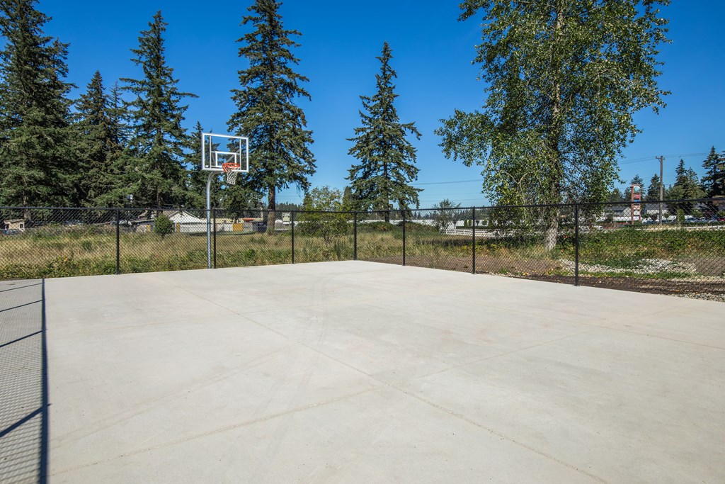 A basketball court surrounded by trees and a fence.
