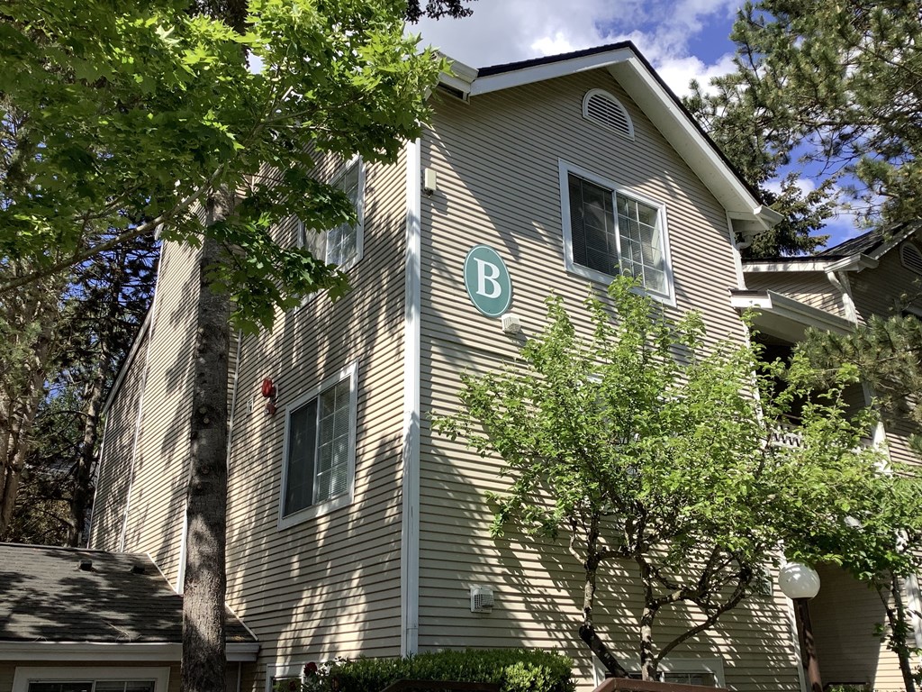A house with a tree in front of it.