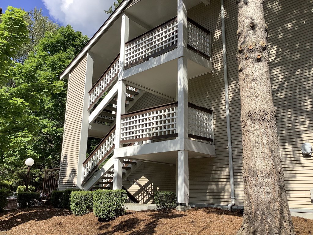 A tree is next to a building with a balcony.