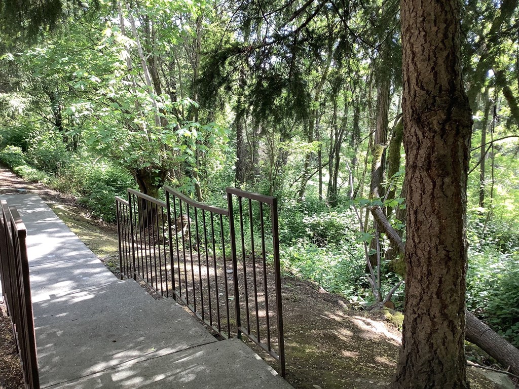 A metal fence runs along a concrete path in a green forest.