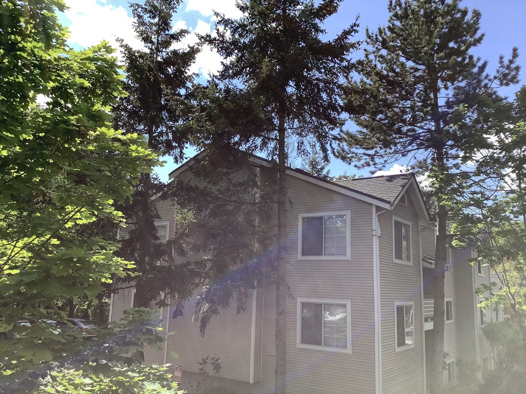 A house is surrounded by trees and bushes.